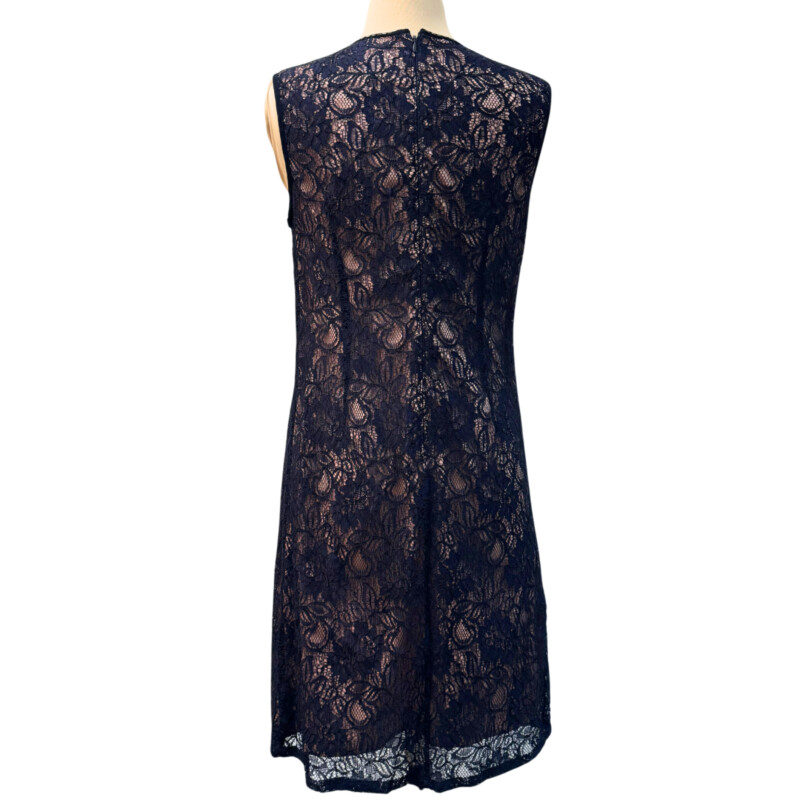 Adrianna Papell Dress<br />
Lace Overlay<br />
Bejeweled Collar<br />
Color: Navy and Blush<br />
Size: 8